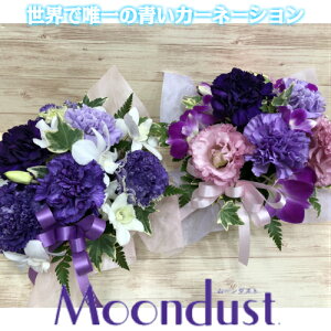 yEh[_XgAWgza/j/oY/j//ybg/җj/t[Mtg/}/ސE/zB/zB/JXj/j/j///w/}/J[