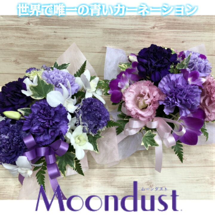 楽天市場 ムーンダストアレンジメント アレンジメント 誕生日 結婚祝い 出産 お祝い お見舞い ペット 還暦祝い フラワーギフト 歓迎 退職 当日配達 即日配達 開店祝 御祝 お祝い 花 卒業 入学 歓送迎 カーネーション 母の日 ぐりーん愛らんど 花屋