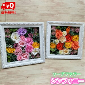 生花 お見舞い 花の人気商品 通販 価格比較 価格 Com