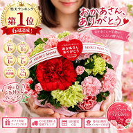 ★母の日★【カラフルバスケットアレンジメント】誕生日/結婚祝い/出産/お祝い/お見舞い/ペット/還暦祝い…