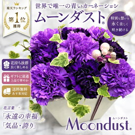 【ムーンダストアレンジメント】誕生日/結婚祝い/出産/お祝い/お見舞い/ペット/還暦祝い/フラワーギフト/歓迎/退職/当日配達/即日配達/開店祝/御祝/お祝い/花/母の日/カーネーション/間に合う/花キューピット