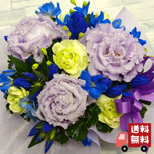 yJtoXPbgAWgza/j/oY/j//ybg/җj/t[Mtg/} ސE/zB/zB/JXj/j/j//w//ސE//