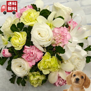 yEzyybg֑oXPbgAWgzyԑEAWg///////@/@v/ފ/~/V~/~///L