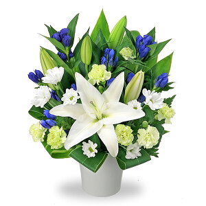 yAWgz(S̉ԃL[sbgX͂܂j//////@/@v/ފ/~/V~/~/䋟/ybg/