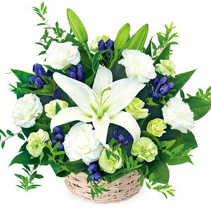 yAWgz(S̉ԃL[sbgX͂܂j//////@/@v/ފ/~/V~/~/䋟/ybg/