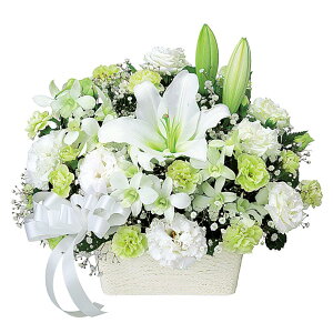 yAWgz(S̉ԃL[sbgX͂܂j//////@/@v/ފ/~/V~/~/䋟/ybg/