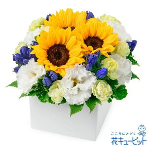 yAWgz(S̉ԃL[sbgX͂܂j//////@/@v/ފ/~/V~/~/䋟/ybg/