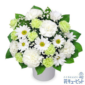 yAWgz(S̉ԃL[sbgX͂܂j//////@/@v/ފ/~/V~/~/䋟/ybg/