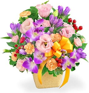 yIW{̃AWgzi512256EAWgj(S̉ԃL[sbgX͂܂ja/j/oY/j//ybg/җj/t[Mtg/} /