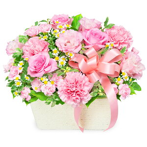 yõsNAWgzi525129EAWgj(S̉ԃL[sbgX͂܂ja/j/oY/j//ybg/җj/t[Mtg/} /ސE/