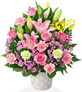 ysN̉؂₩AWgzi512715EAWgj(S̉ԃL[sbgX͂܂ja/j/oY/j//ybg/җj/t[Mtg/} 