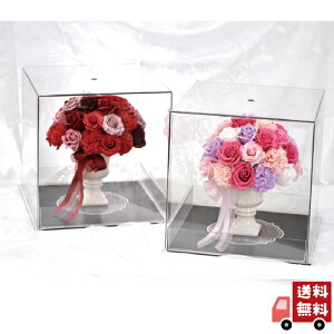 yzy\[vt[zyAWgziS-213j(a/j/oY/j//ybg/җj/t[Mtg/}/ސE/zB/zB/Jj//\[vt[/V