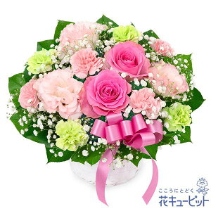 ysNoƃ{̃AWgzi524335EAWgj(S̉ԃL[sbgX͂܂ja/j/oY/j//ybg/җj/t[Mtg/