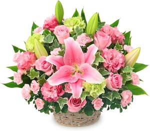 yƃsNF̃oXPbgAWgzi524281EAWgj(S̉ԃL[sbgX͂܂ja/j/oY/j//ybg/җj/t[M