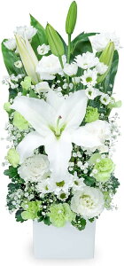 ỹAWgz(512492EAWgj(S̉ԃL[sbgX͂܂j//////@/@v/ފ/~/V~/~/䋟/ybg/