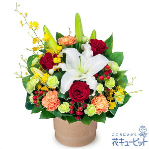 yƐԃõ|bgAWgzi512615EAWgj(S̉ԃL[sbgX͂܂ja/j/oY/j//ybg/җj/t[Mtg/