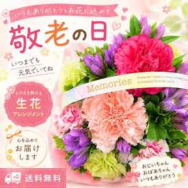 【カラフルバスケットアレンジメント】誕生日/結婚祝い/出産/お祝い/お見舞い/ペット/還暦祝い/フラワーギフト/歓迎 退職/当日配達/即日配達/開店祝/御祝/お祝い/花/入学/卒業/退職/花/敬老の日/カーネーション/花キューピット/間に合う/ギフト