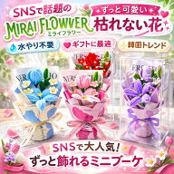 【送料無料】【モールフラワー】【花束】(MF-003)(誕生日/結婚祝い/出産/御祝/お見舞い/ペット/還暦祝い/…