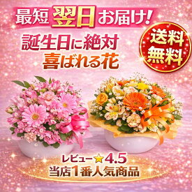 【ラウンドバスケットアレンジメント】誕生日/結婚祝い/出産/お祝い/お見舞い/ペット/還暦祝い/フラワーギフト/歓迎 退職/当日配達/即日配達/開店祝/御祝/お祝い/花/入学/卒業/カーネーション/母の日/間に合う/花キューピット