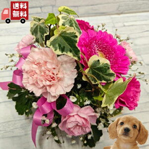 yEzyybg֑Jt|bgAWgz//////@/@v/ފ/~/V~/~///L/䋟