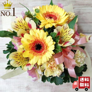 yJtoXPbgAWgza/j/oY/j//ybg/җj/t[Mtg/} ސE/zB/zB/JXj/j/j//w//ސE//