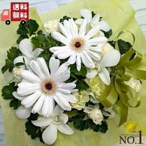 yJtoXPbgAWgza/j/oY/j//ybg/җj/t[Mtg/} ސE/zB/zB/JXj/j/j//w//ސE//