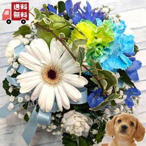 yEzyybg֑Jt|bgAWgz//////@/@v/ފ/~/V~/~///L/䋟