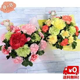 楽天市場 カラフル フラワーアレンジメント 花 観葉植物 花 ガーデン Diyの通販 楽天市場 カラフル フラワーアレンジメント 花 観葉植物 花 ガーデン Diyの通販