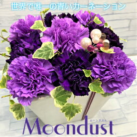 楽天市場 母の日 ムーンダスト フラワーアレンジメント 花 観葉植物 花 ガーデン Diyの通販