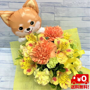 yEzzyɂo[oXPbgzyԁEAWgza/j/oY/j//ybg/җj/t[Mtg/} ސE/zB/zB/