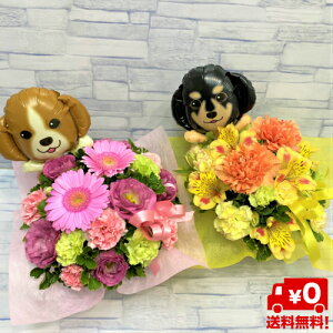 yEzzyɂo[oXPbgzyԁEAWgza/j/oY/j//ybg/җj/t[Mtg/} ސE/zB/zB/