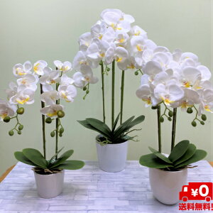 yzyӒz(A[gt[Eԁja/j/oY/j/җj/t[Mtg/} /ސE/JXj//j/䋟//