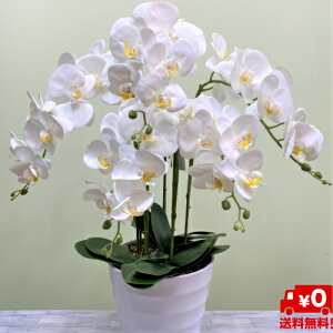 yzyӒz(A[gt[Eԁja/j/oY/j/җj/t[Mtg/} /ސE/JXj//j/䋟//