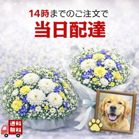 楽天市場 花 当日配達 ペット お悔やみの通販