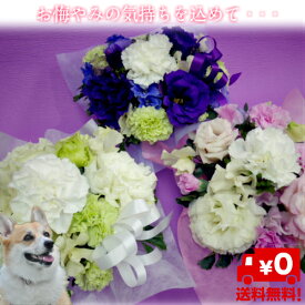 新鮮なペット お悔やみ 花 当日 配達 すべての美しい花の画像