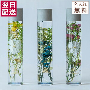 FLOWERiUM n[oE ̓ Mtg tE Birth o[X  t[Mtg a NX}X v[g 蕨 \[vt[ hCt[ vU[uht[ ԑ  