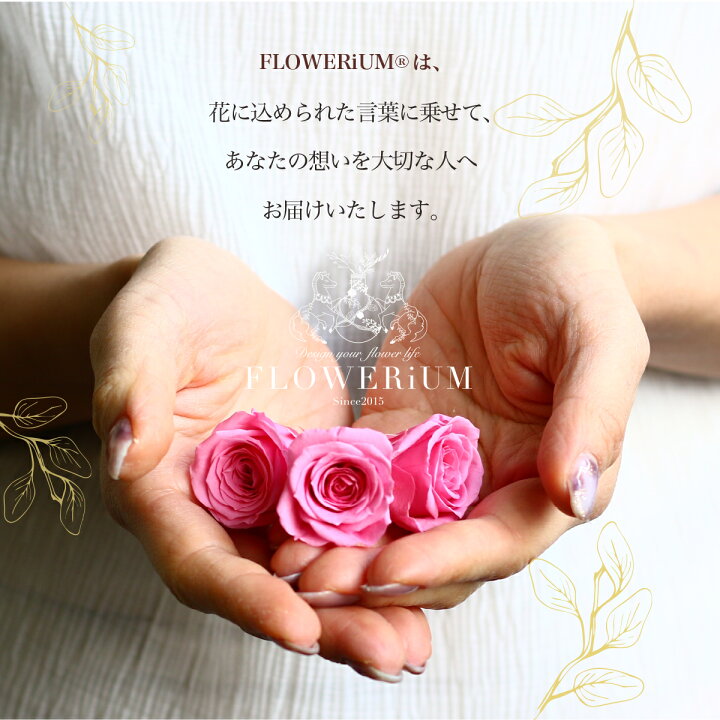 楽天市場】FLOWERiUM ガラスの靴 フラワリウム ハーバリウム 花 ホワイトデー お返し フラワーギフト 誕生日 プレゼント 贈り物 ソープ フラワー ドライフラワー プリザーブドフラワー 花束 女性 結婚 引っ越し 記念日 母の日 クリスマス : Green&Erie 楽天市場】FLOWERiUM ガラスの靴 フラワリウム ハーバリウム 花 ホワイトデー お返し フラワーギフト 誕生日 プレゼント 贈り物 ソープ フラワー ドライフラワー プリザーブドフラワー 花束 女性 結婚 引っ越し 記念日 母の日 クリスマス : Green&Erie