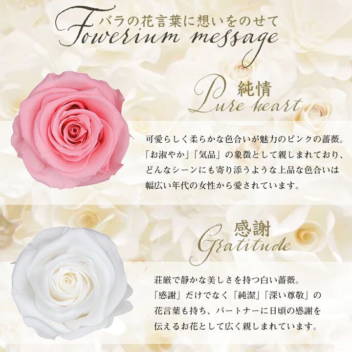 楽天市場 Flowerium アクリルローズボックス ホワイトデー お返し フラワリウム ハーバリウム 花 フラワーギフト 誕生日 プレゼント 贈り物 ソープフラワー ドライフラワー プリザーブドフラワー 花束 女性 結婚 引っ越し 記念日 母の日 クリスマス Flowerium 楽天市場 Flowerium アクリルローズボックス ホワイトデー お返し フラワリウム ハーバリウム 花 フラワーギフト 誕生日 プレゼント 贈り物 ソープフラワー ドライフラワー プリザーブドフラワー 花束 女性 結婚 引っ越し 記念日 母の日 クリスマス Flowerium