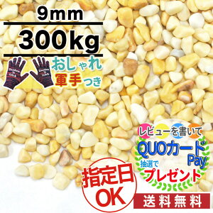 めだか 水槽 Diy 工具の人気商品 通販 価格比較 価格 Com