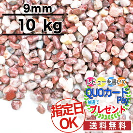 楽天市場 水槽 砂利の通販