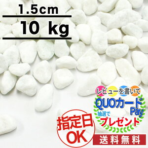 白 レイアウト用品 砂利 水槽用の人気商品 通販 価格比較 価格 Com 白 レイアウト用品 砂利 水槽用の人気商品 通販 価格比較 価格 Com