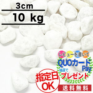 白 レイアウト用品 砂利 水槽用の人気商品 通販 価格比較 価格 Com 白 レイアウト用品 砂利 水槽用の人気商品 通販 価格比較 価格 Com