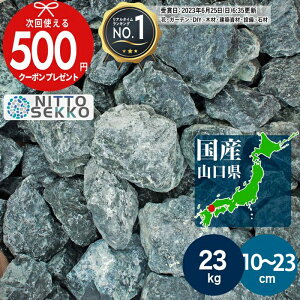 yGg[őSi|Cg10{z[yV1ʎ] [23kg/10%ȏ㑝ʒ]  I  ubN O[ K[fXg[ a10`23cmKrI I   K[fjO K[fbN 