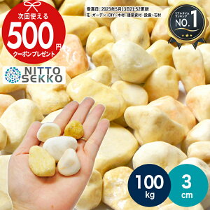 yX[p[SALEőP5{zyɁ{SiΏP10{ivGg[jz[yV1ʎ] y100kgi10kg×10܁j /1.25(~4cm)z CG[ F ʍ VgXXvbh a3cm 