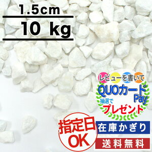白 レイアウト用品 砂利 水槽用の人気商品 通販 価格比較 価格 Com 白 レイアウト用品 砂利 水槽用の人気商品 通販 価格比較 価格 Com
