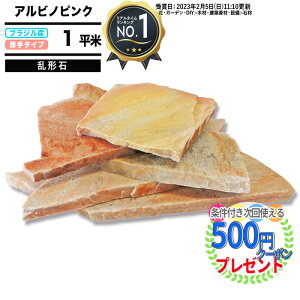 [yV1ʎ] y1ĕ/zNITTOSEKKO ` ArmsN sN  n