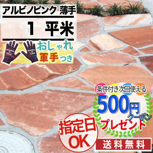 乱形石 アルビノの通販 価格比較 価格 Com 乱形石 アルビノの通販 価格比較 価格 Com