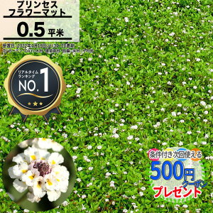 yGg[őSi|Cg10{zmyV1ʎ܁nm1/0.5ān}bg vZXt[}bg W100cm×H50cm A  }bgvc qC_\E  }bg