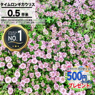 【9/10は確率2分の1!最大100%ポイントキャッシュバック】【11日1:59迄最大P5倍】［楽天1位受賞］［8枚/約…