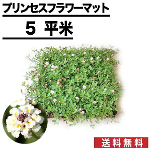 庭 花 多年草の人気商品 通販 価格比較 価格 Com 庭 花 多年草の人気商品 通販 価格比較 価格 Com